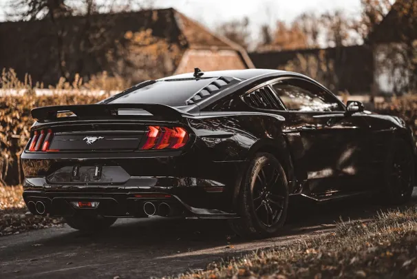 Bizz Kaszinó Android/iOS Alkalmazás